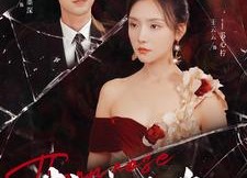 短剧《荆棘玫瑰（100集）》短剧全集免费在线追剧