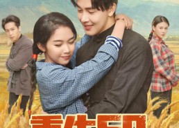 短剧《重生60，哑巴媳妇太旺夫（80集）》短剧全集免费高清看