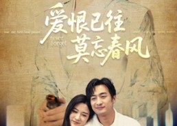 短剧《爱恨已往莫忘春风（80集）》短剧全集免费在线享