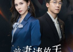 短剧《前妻请放手，我已经辞职了（30集）》短剧在线免费看全集