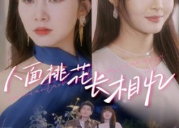 短剧《人面桃花长相忆（81集）》热门短剧免费在线播