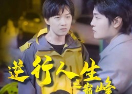 短剧《逆袭人生之巅峰（92集）》免费短剧高清全集畅享