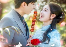 短剧《春日微醺（82集）》超火短剧在线免费追