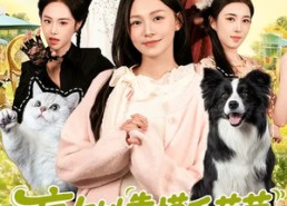 短剧《盲女她靠摸毛茸茸称霸豪门了（84集）》短剧全集免费在线赏