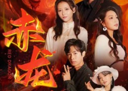 短剧《赤龙印（80集）》免费短剧全集速览