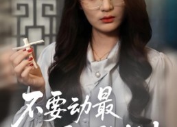 短剧《不要动最后一张纸巾（25集）》短剧全集高清免费享