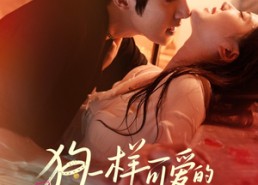 短剧《狗一样可爱的老板（63集）》超甜短剧全集免费欣赏