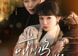 短剧《惊鸿一瞥（72集）》热门短剧全集免费看