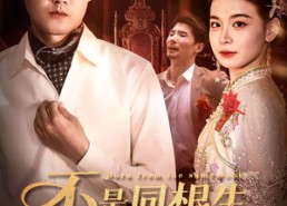 短剧《不是同根生出嫁现原形（60集）》高清短剧全集免费赏