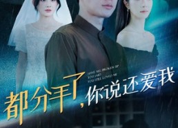 短剧《都分手了你说还爱我（33集）》短剧完整版免费畅享