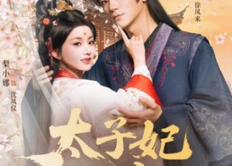 短剧《太子妃天亮了（80集）》短剧免费全集高清播放