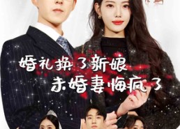 短剧《婚礼换了新娘未婚妻悔疯了（30集）》热门短剧全集免费赏