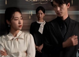 短剧《关于爱你这件事（83集）》短剧完整高清免费看