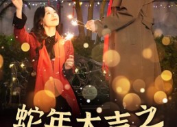 短剧《新年之假戏真做（40集）》精彩短剧免费全集览