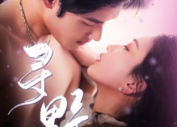 短剧《寻野（100集）》短剧全集免费任意看