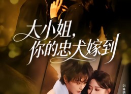 短剧《大小姐，你的忠犬嫁到（80集）》短剧完整版免费在线看