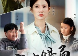 短剧《家有错局（71集）》精彩短剧全集免费赏