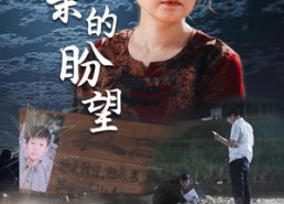 短剧《母亲的盼望（29集）》短剧高清全集免费享