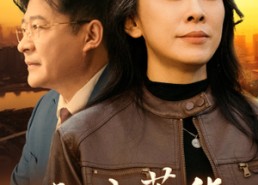 短剧《六十芳华（39集）》免费短剧资源全集浏览