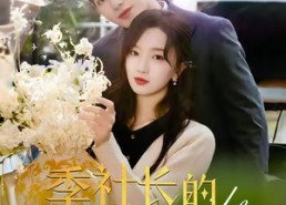 短剧《季社长的小蔷薇绽放了（60集）》短剧全集免费在线播