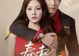 短剧《春去方知夏（65集）》热门短剧免费全集观看