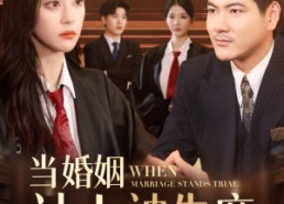 短剧《当婚姻站上被告席（30集）》优质短剧在线免费观览