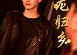 短剧《游龙归乡（60集）》精彩短剧免费全集任意看