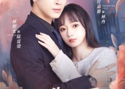 短剧《双生夺爱陆总你认错夫人了（94集）》短剧全集免费在线赏