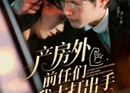 短剧《产房外，前任们为我大打出手（79集）》爆款短剧免费畅享全集