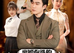 短剧《离婚你选的，总裁向我求婚你哭什么（85集）》免费短剧全集高清播放