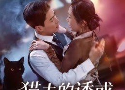 短剧《猫夫的诱惑（52集）》超火短剧全集免费看