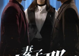 短剧《妻子为何那样（60集）》精彩短剧在线畅快观