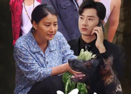 短剧《望子归来（50集）》经典短剧在线免费看