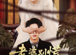 短剧《老婆别慌，我激活系统救你（80集）》热门短剧全集在线免费追