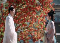 短剧《度华年（40集）》短剧全剧免费在线览