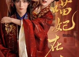 短剧《喵妃在上（64集）》短剧全集高清免费播放