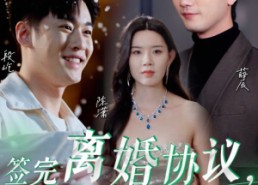 短剧《签完离婚协议，前夫后悔了（31集）》爆款短剧免费高清观看