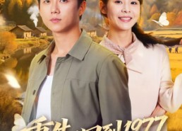 短剧《重生：回到1977当奶爸（76集）》短剧完整版在线免费看