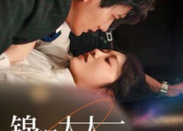 短剧《锦鲤太太不好惹（51集）》热门短剧免费高清看