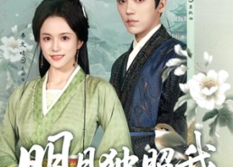 短剧《明月独照我（80集）》爆款短剧全集在线享