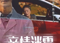 短剧《亲情迷雾（30集）》短剧高清全集免费观赏