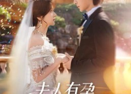 短剧《夫人有孕，高冷先生霸道宠（60集）》短剧全集免费畅享观看