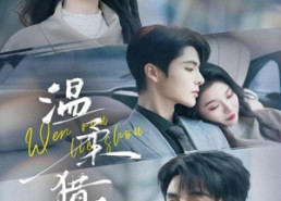 短剧《温柔猎手（77集）》短剧全集免费畅享观看