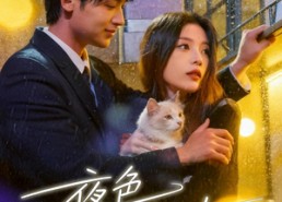 短剧《夜色正浓时（32集）》短剧全集免费在线追剧