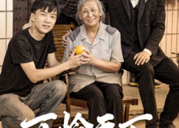 短剧《可怜天下慈母心&母望子归（74集）》免费短剧高清全集速览