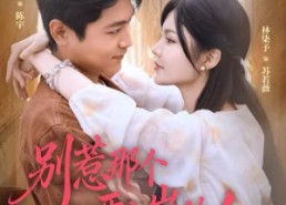 短剧《别惹那个要上岸的人（81集）》爆款短剧免费畅享全集