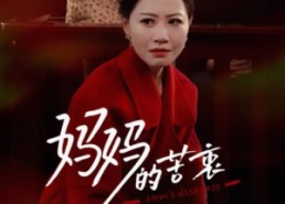 短剧《妈妈的苦衷（32集）》在线短剧完整版观看