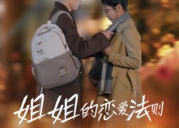 短剧《姐姐的恋爱法则（39集）》短剧全集高清在线看