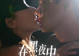 短剧《在黑夜中相遇（32集）》超火短剧免费在线追