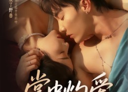 短剧《掌中灼爱（62集）》热门短剧免费在线追剧